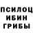 Псилоцибиновые грибы Psilocybe Victoria_ sicret