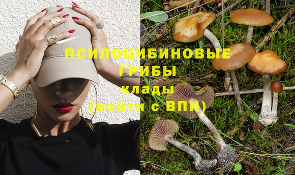 прущие грибы Алексин