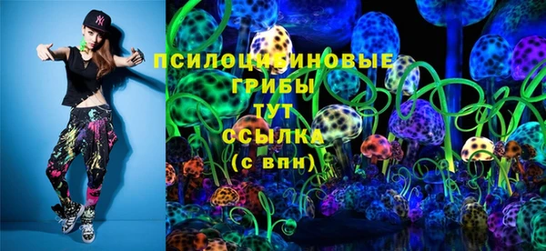 хмурый Алексеевка