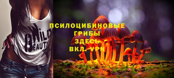 скорость Алзамай