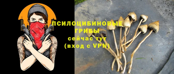 прущие грибы Алексин