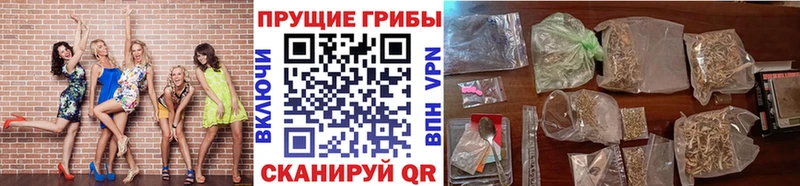 Галлюциногенные грибы Psilocybine cubensis  купить наркотики сайты  Бахчисарай 